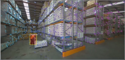 Driver safety system